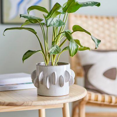 Flower pots - Roza Flowerpot, White, Stoneware  - BLOOMINGVILLE MULTIBRAND HOUSE