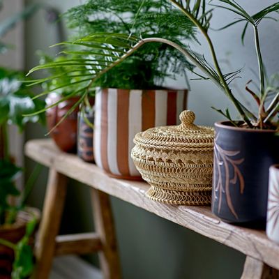 Flower pots - Dres Deco Flowerpot, Brown, Terracotta  - BLOOMINGVILLE MULTIBRAND HOUSE