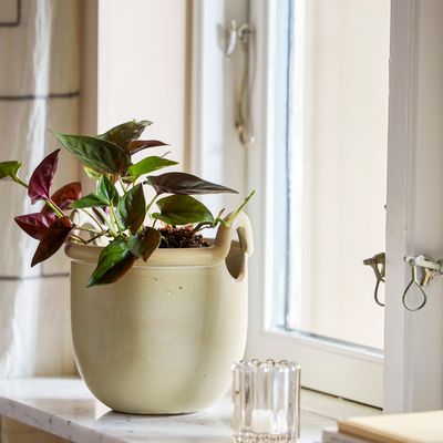 Pots de fleurs - Janti Pot de fleurs, Nature, Grès  - BLOOMINGVILLE MULTIBRAND HOUSE