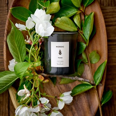 Bougies - SEASONAL Bougie parfumée, Verte, Cire naturelle Set of 3 - ILLUME X BLOOMINGVILLE