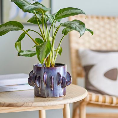 Flower pots - Roza Flowerpot, Grey, Stoneware  - BLOOMINGVILLE MULTIBRAND HOUSE