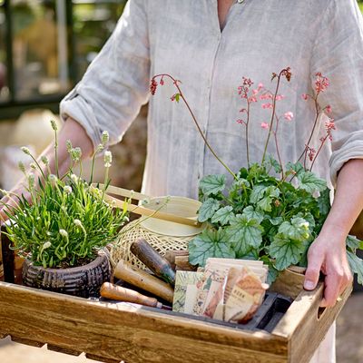 Kitchen utensils - Nandor Serving Tray, Brown, Firwood  - BLOOMINGVILLE MULTIBRAND HOUSE