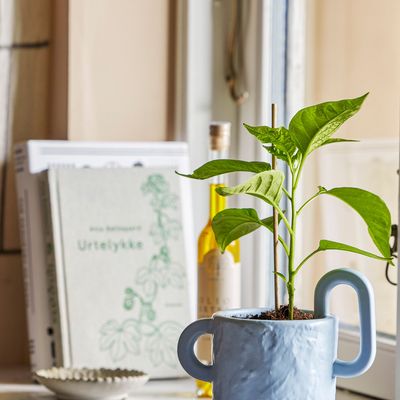 Pots de fleurs - Alfine Pot de fleurs, Blue, Grès  - BLOOMINGVILLE MULTIBRAND HOUSE