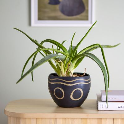 Flower pots - Magnus Flowerpot, Black, Stoneware  - BLOOMINGVILLE MULTIBRAND HOUSE