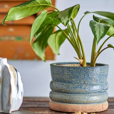 Flower pots - Maizun Flowerpot, Blue, Terracotta  - CREATIVE COLLECTION