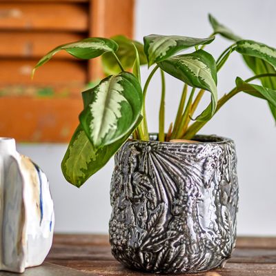 Pots de fleurs - Nikou Pot de fleurs déco, Noir, Terre cuite  - CREATIVE COLLECTION