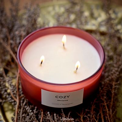 Bougies - COZY - Nectarine Bougie parfumée, Rouge, Cire naturelle  - ILLUME X BLOOMINGVILLE