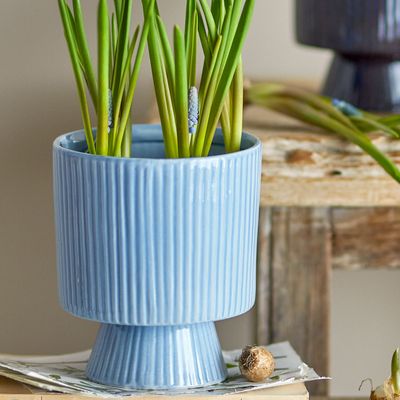 Flower pots - Ayleen Flowerpot, Blue, Stoneware  - BLOOMINGVILLE MULTIBRAND HOUSE