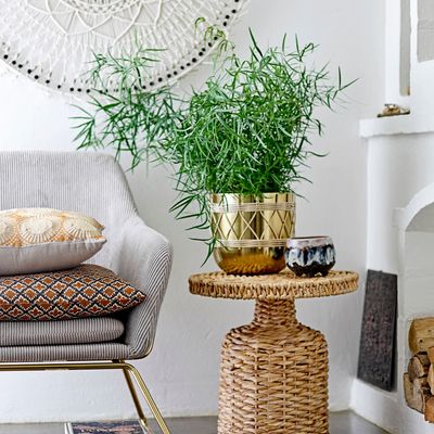 Flower pots - Bjanka Deco Flowerpot, Brown, Terracotta  - BLOOMINGVILLE MULTIBRAND HOUSE