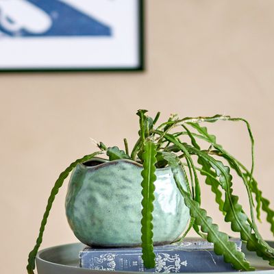 Flower pots - Pennie Flowerpot, Green, Stoneware  - BLOOMINGVILLE MULTIBRAND HOUSE