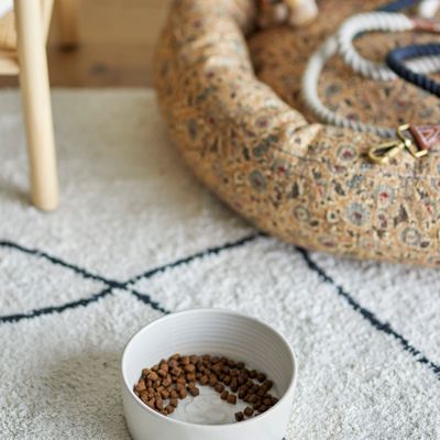 Accessoires animaux - Buddy Bol, Blanc, Grès  - BLOOMINGVILLE MULTIBRAND HOUSE