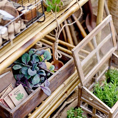 Pots de fleurs - Madi Pot de fleur suspendu, Nature, Grès  - BLOOMINGVILLE MULTIBRAND HOUSE