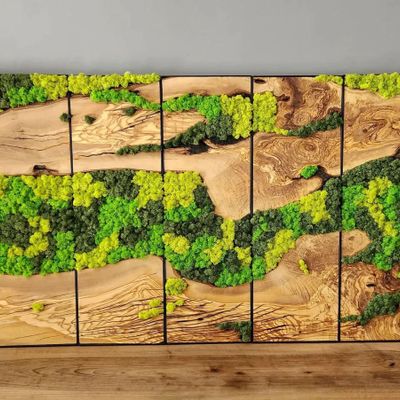 Other wall decoration - "Custom Made Moss and Olive Wood Wall Art: Multiple Premium Handcrafted Sculptures" 114CMX38CM - ARTDESIGNA