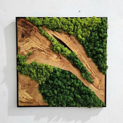 Other wall decoration - "Custom Made Moss and Olive Wood Wall Art: Premium Handcrafted Sculptures" 100CMX100CM - ARTDESIGNA