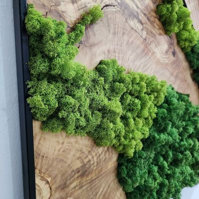 Autres décorations murales - "Art Mural sur Mesure en Bois de Mousse et d'Olivier : Sculptures Murales Haut de Gamme Faites Main" 100CMX100CM - ARTDESIGNA