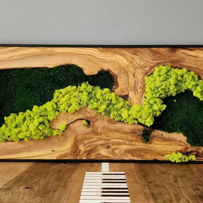 Other wall decoration - "Custom Made Moss and Olive Wood Wall Art: Rectangular Premium Handcrafted Sculptures" 100CMX50CM - ARTDESIGNA