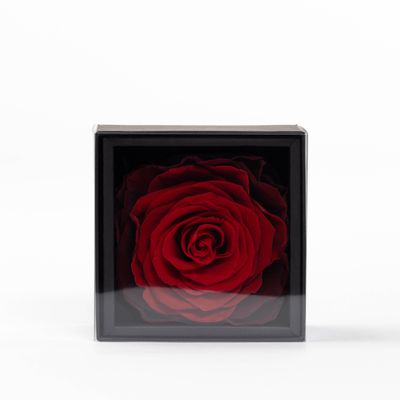 Floral decoration - A secret - My love - 1 preserved red rose XXL - Size M - BENOIT SAINT AMAND