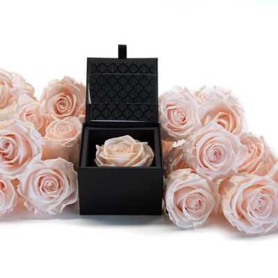 Décorations florales - Un secret - My beauty - 1 rose - rose pastel éternelle Taille S - BENOIT SAINT AMAND