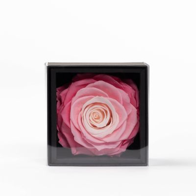 Décorations florales - Un secret - My beauty - 1 rose éternelle XXL rose pastel - BENOIT SAINT AMAND