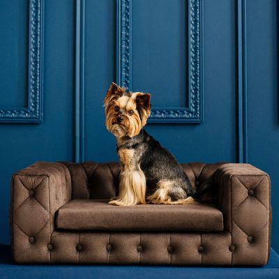 Pet accessories - ROYAL Luxury Dog Sofa Bed - PET EMPIRE