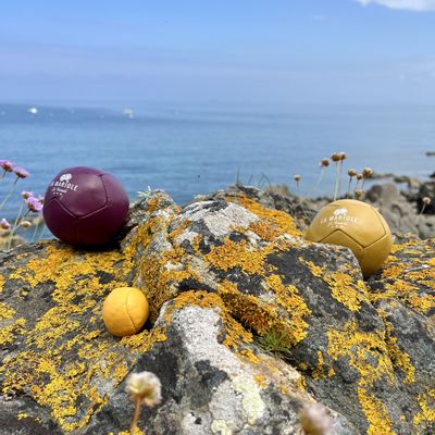 Gifts - Boule de pétanque tout terrain - DJ 45 SARL LA MARIOLE