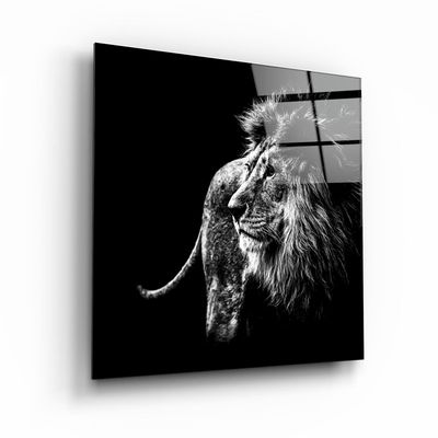 Autres décorations murales - ・"Dolphin"・Glass Wall Art | Artdesigna Glass Printing Wall Arts. - ARTDESIGNA