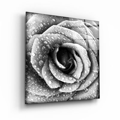 Other wall decoration - ・"Betta Fish"・Glass Wall Art | Artdesigna Glass Printing Wall Arts. - ARTDESIGNA