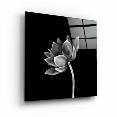 Other wall decoration - ・"Colorful Feather"・Glass Wall Art | Artdesigna Glass Printing Wall Arts. - ARTDESIGNA