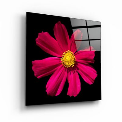 Other wall decoration - ・"I'm Fine"・Glass Wall Art | Artdesigna Glass Printing Wall Arts. - ARTDESIGNA