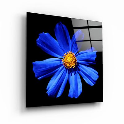 Other wall decoration - ・"Owl"・Glass Wall Art | Artdesigna Glass Printing Wall Arts. - ARTDESIGNA