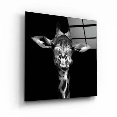 Other wall decoration - ・"Shark"・Glass Wall Art | Artdesigna Glass Printing Wall Arts. - ARTDESIGNA