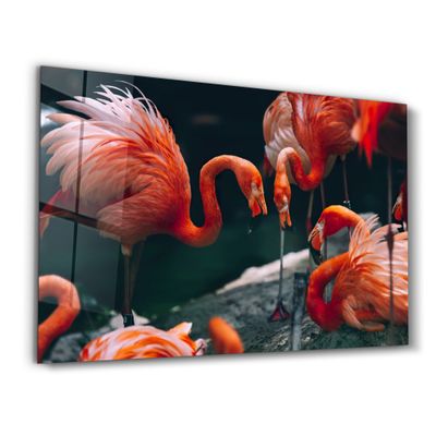 Other wall decoration - Orange Flamingos 1 | Glass Wall Art - ARTDESIGNA