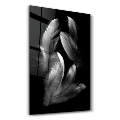 Other wall decoration - White Feathers 1 | Glass Wall Art - ARTDESIGNA