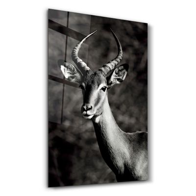 Other wall decoration - Antilope Black and White | Glass Wall Art - ARTDESIGNA