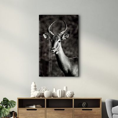 Autres décorations murales - Antilope Black and White | Glass Wall Art - ARTDESIGNA