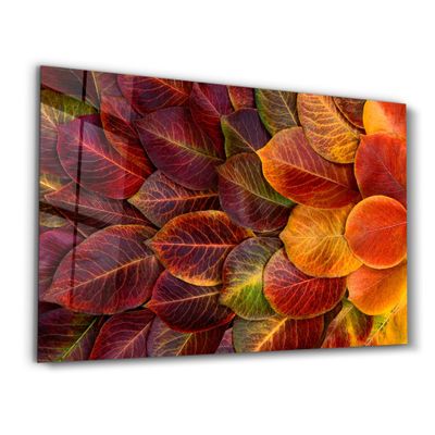 Autres décorations murales - Leaves 2 | Glass Wall Art - ARTDESIGNA