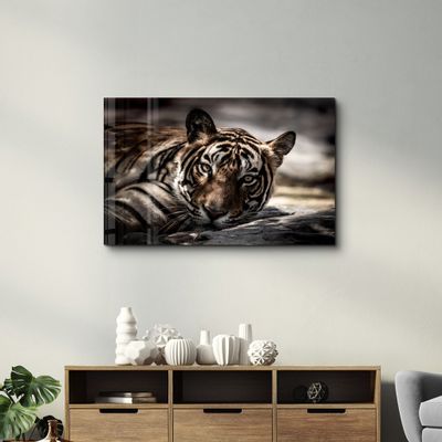 Autres décorations murales - Tired Tiger | Glass Wall Art - ARTDESIGNA