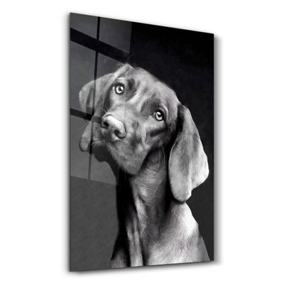 Other wall decoration - Innocent Dog | Glass Wall Art - ARTDESIGNA