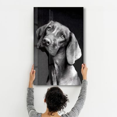 Other wall decoration - Innocent Dog | Glass Wall Art - ARTDESIGNA