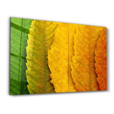 Other wall decoration - Depth Of Focus | Glass Wall Art - ARTDESIGNA