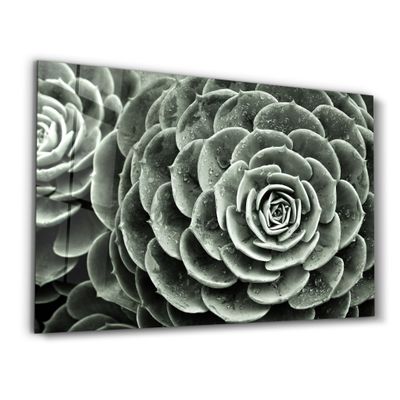 Autres décorations murales - Raindrops On Echeveria | Glass Wall Art - ARTDESIGNA