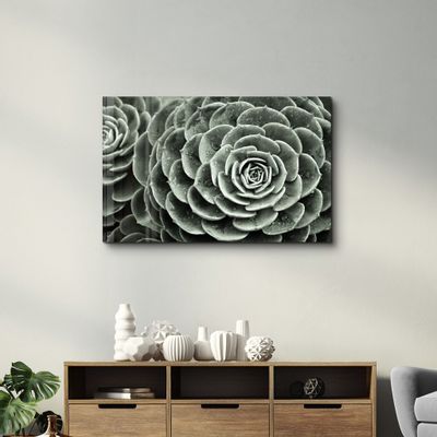 Autres décorations murales - Raindrops On Echeveria | Glass Wall Art - ARTDESIGNA