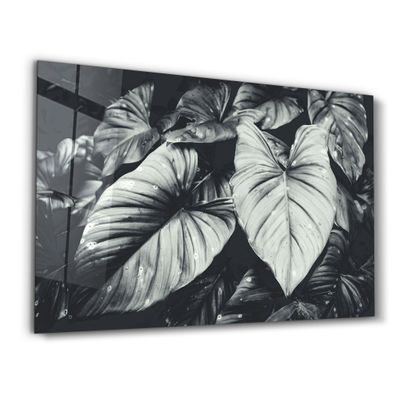 Autres décorations murales - Elephant's Ears | Glass Wall Art - ARTDESIGNA