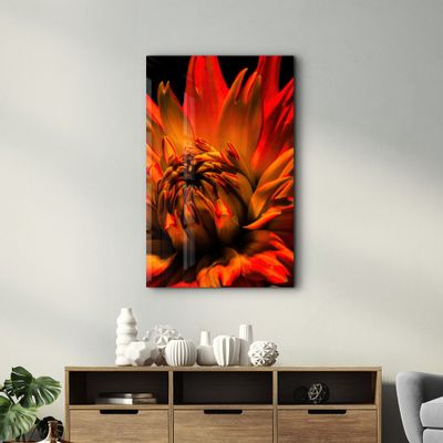 Other wall decoration - Orange Daisy | Glass Wall Art - ARTDESIGNA