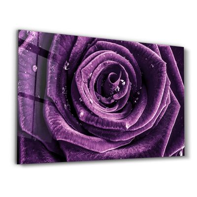 Autres décorations murales - Purple Rose V2 | Glass Wall Art - ARTDESIGNA