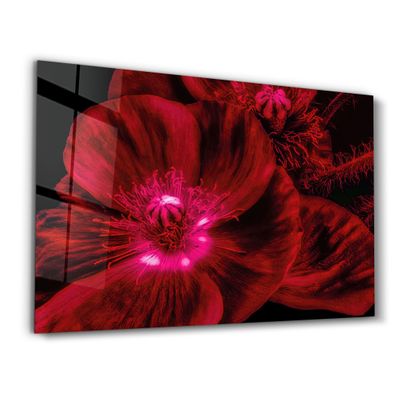 Autres décorations murales - Morning Glory V2 | Glass Wall Art - ARTDESIGNA