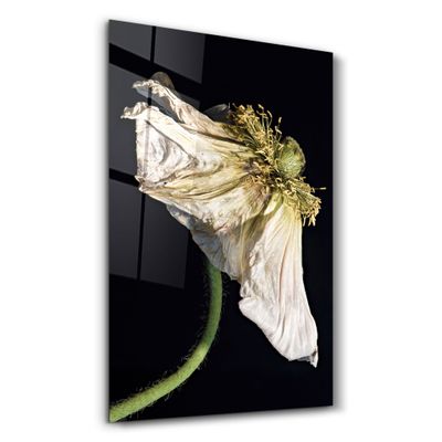 Autres décorations murales - In Peril Of One's Life | Glass Wall Art - ARTDESIGNA