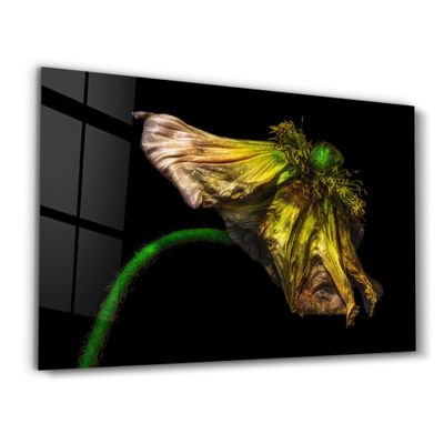 Autres décorations murales - In Peril Of One's Life V2 | Glass Wall Art - ARTDESIGNA