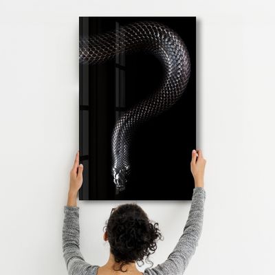 Other wall decoration - The black Mamba | Glass Wall Art - ARTDESIGNA