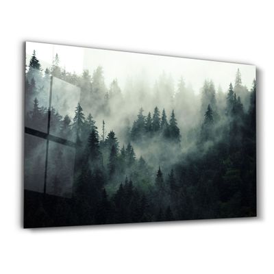 Other wall decoration - Black Forest | Glass Wall Art - ARTDESIGNA